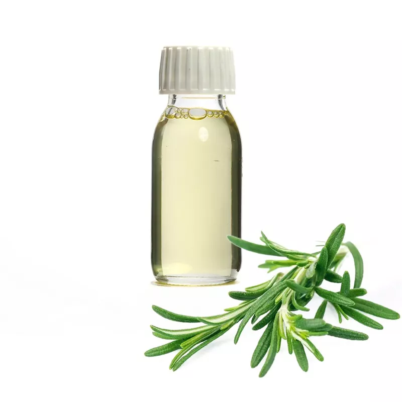 Rosemary Essential Oil XINLI BIOLOGICAL