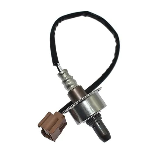 51OXiGHyfGL._SX522_.jpg