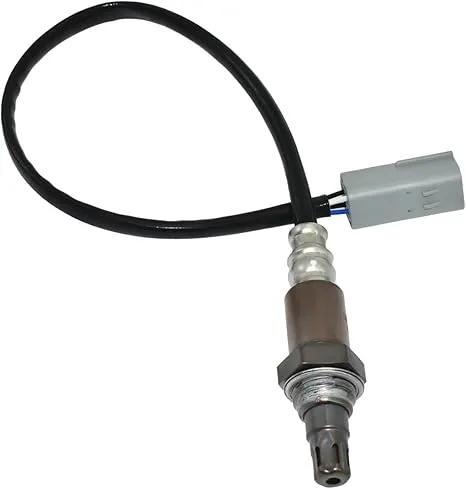 51qccl7hJuL._AC_SX466_.jpg