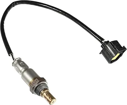 619X88ZWrmL._AC_SX425_.jpg
