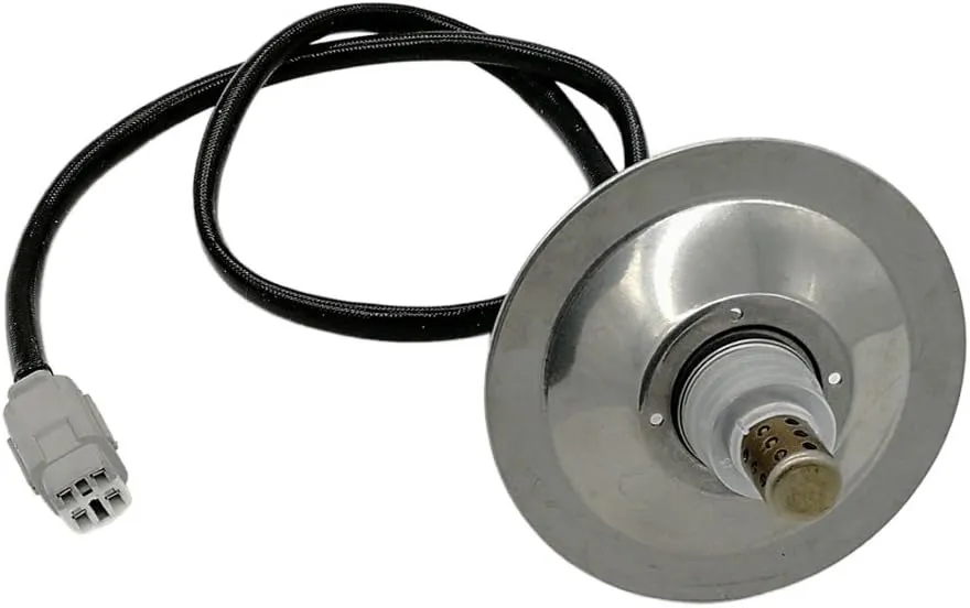 51QBi22u8CL._AC_SL1001_.jpg
