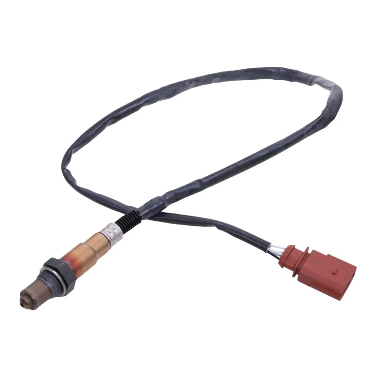 41YPhGvoC5L.jpg