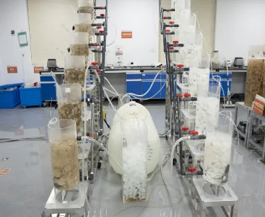 Biofilm Cultivation Test