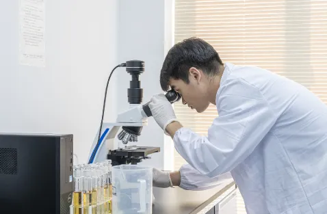Biofilm Activity Testing