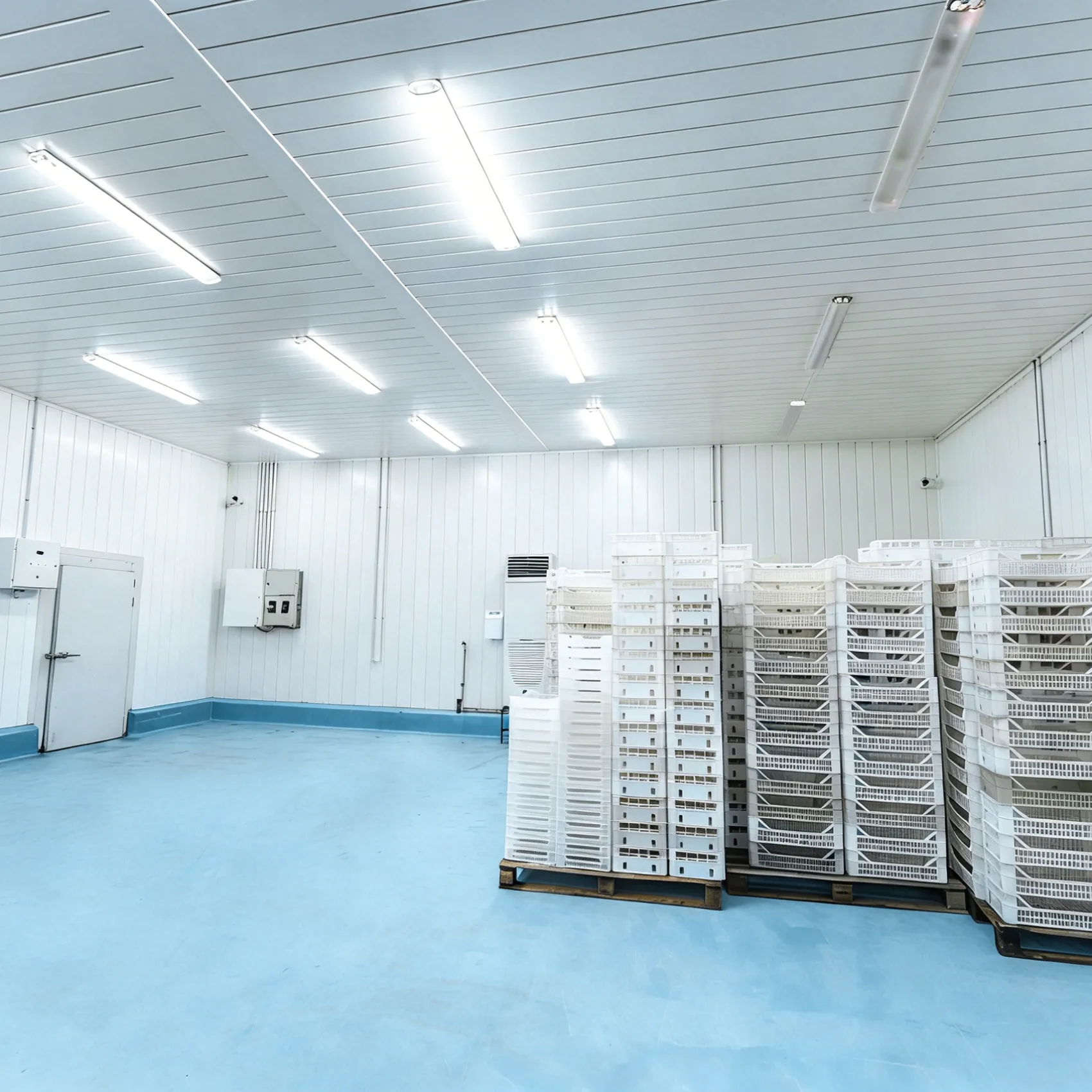 Refrigerated Warehouses