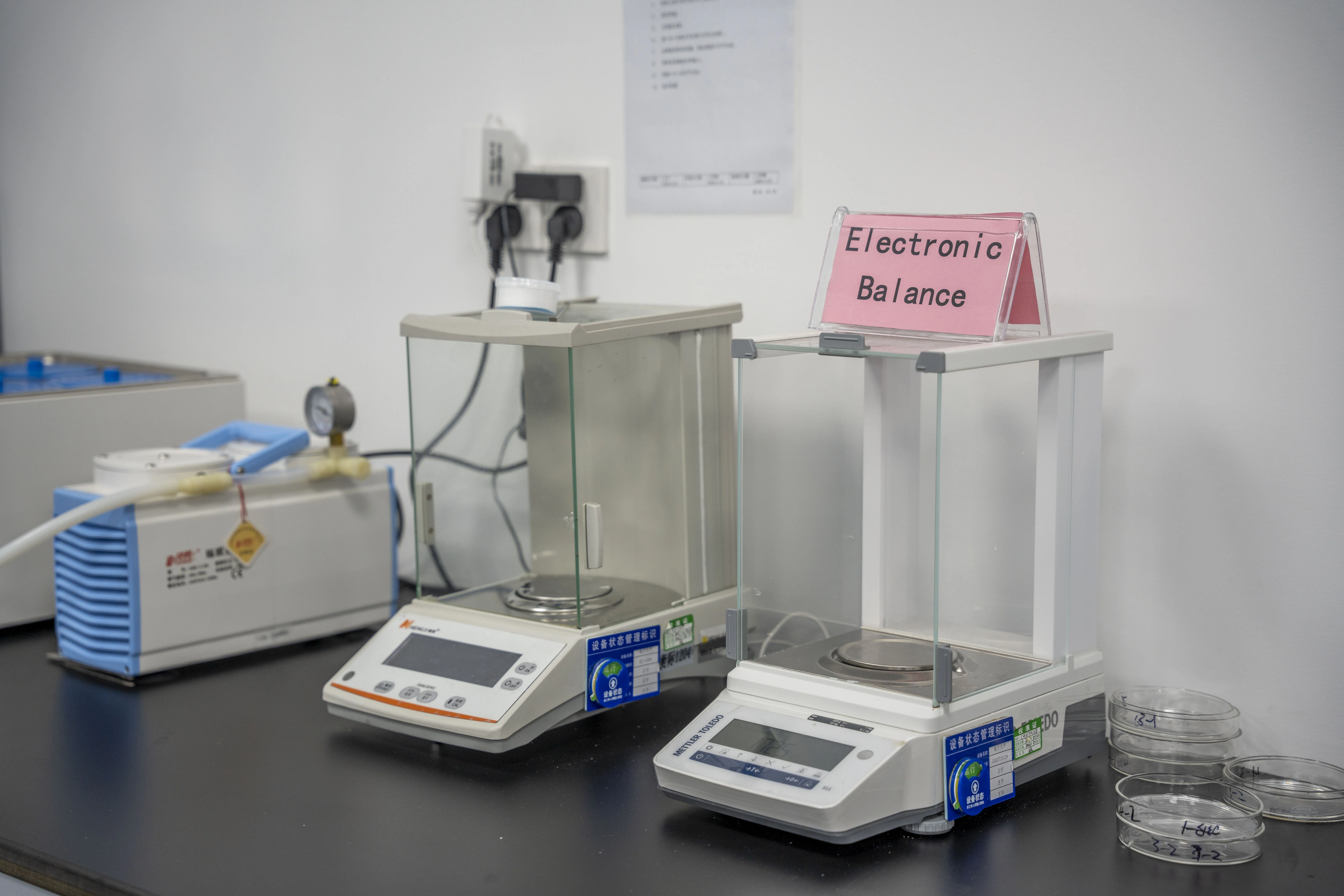 Electronic Balance