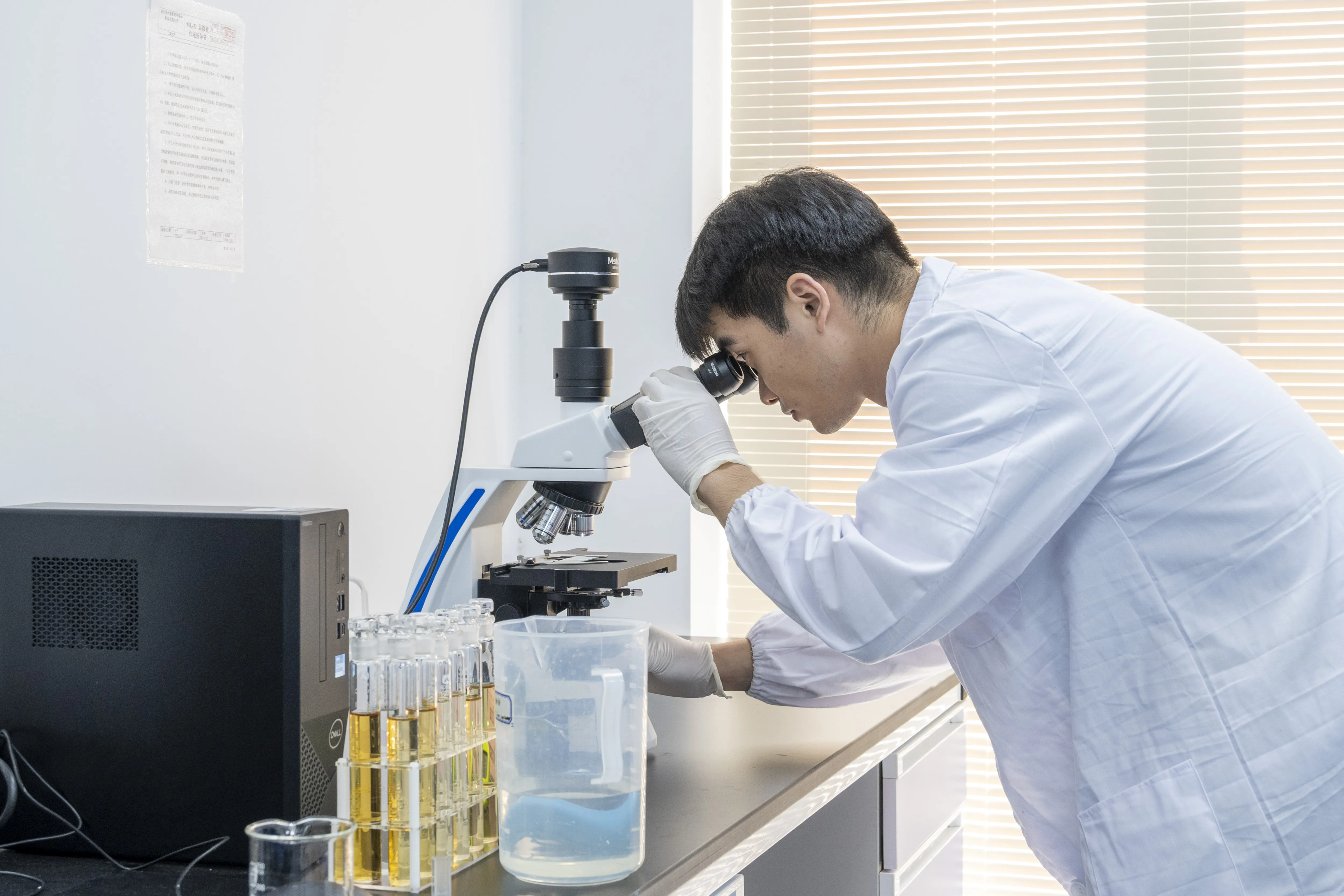 Microscope Inspection
