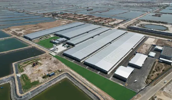Aquaculture Facility and Pond System