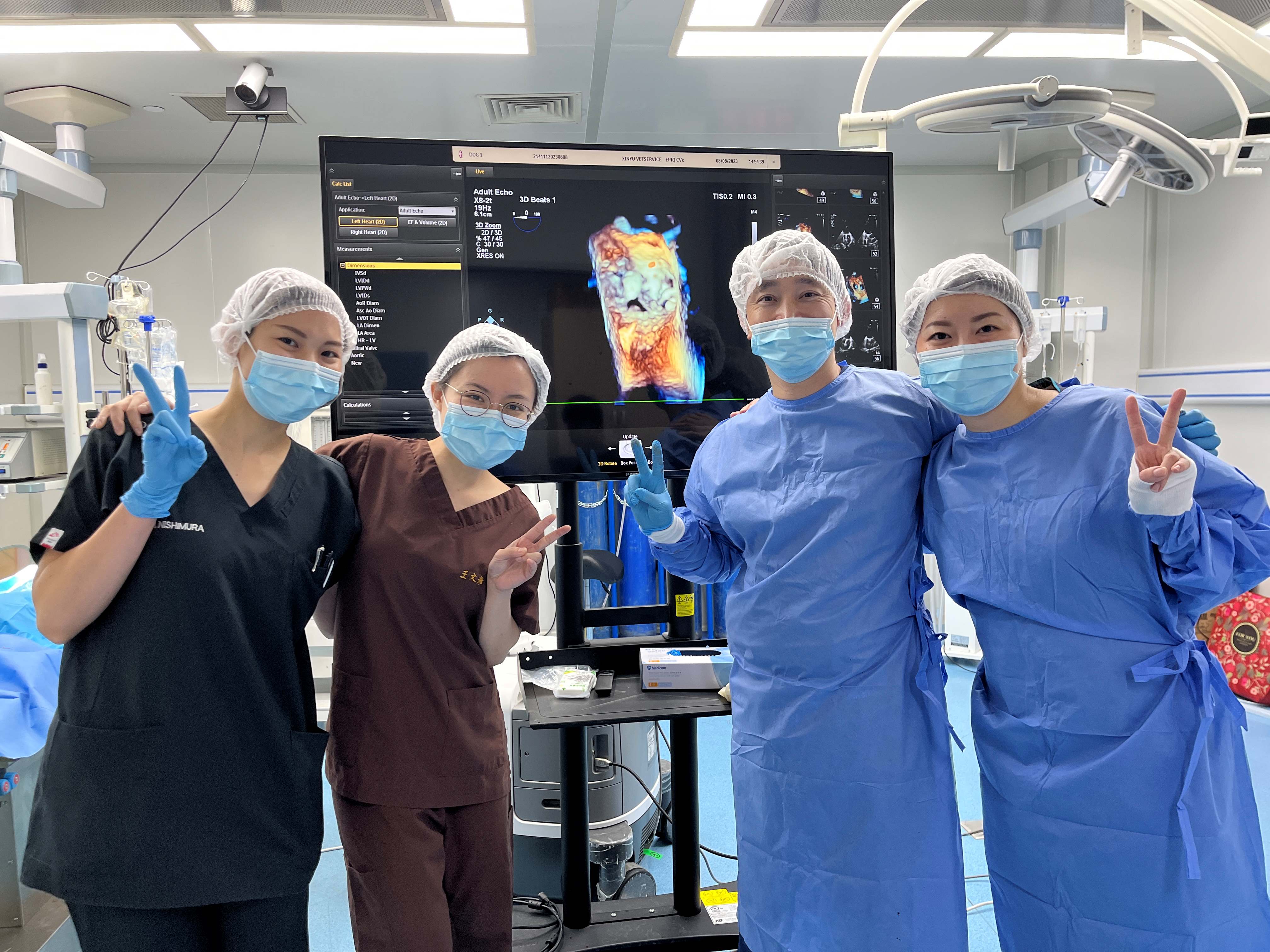 V-Clamp Device for Canine Mitral Valve Repair