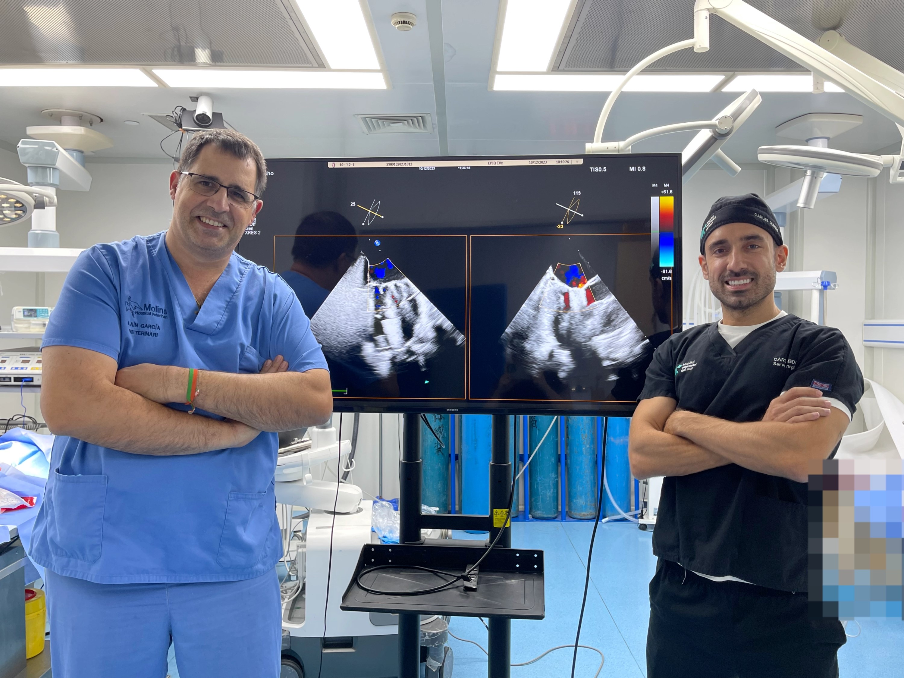 Cfvc V-Clamp arrasa en Europa: la energía española impulsa una nueva ola en ...
