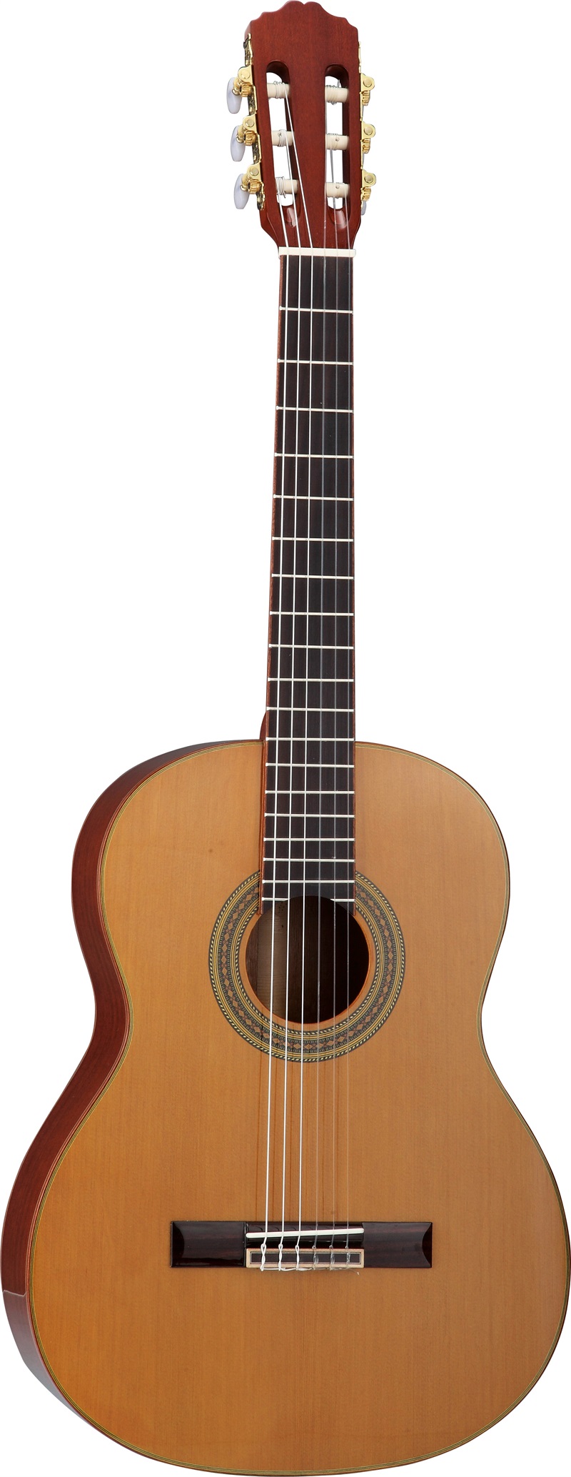 Acoustic Guitars & Basses Classic Series MC4330McCartney ProGuitars