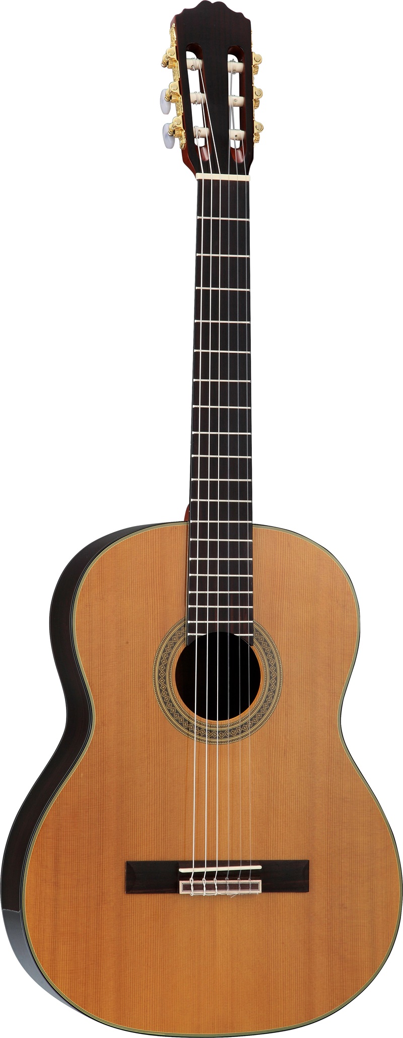 Acoustic Guitars & Basses Classic Series MC4340McCartney ProGuitars