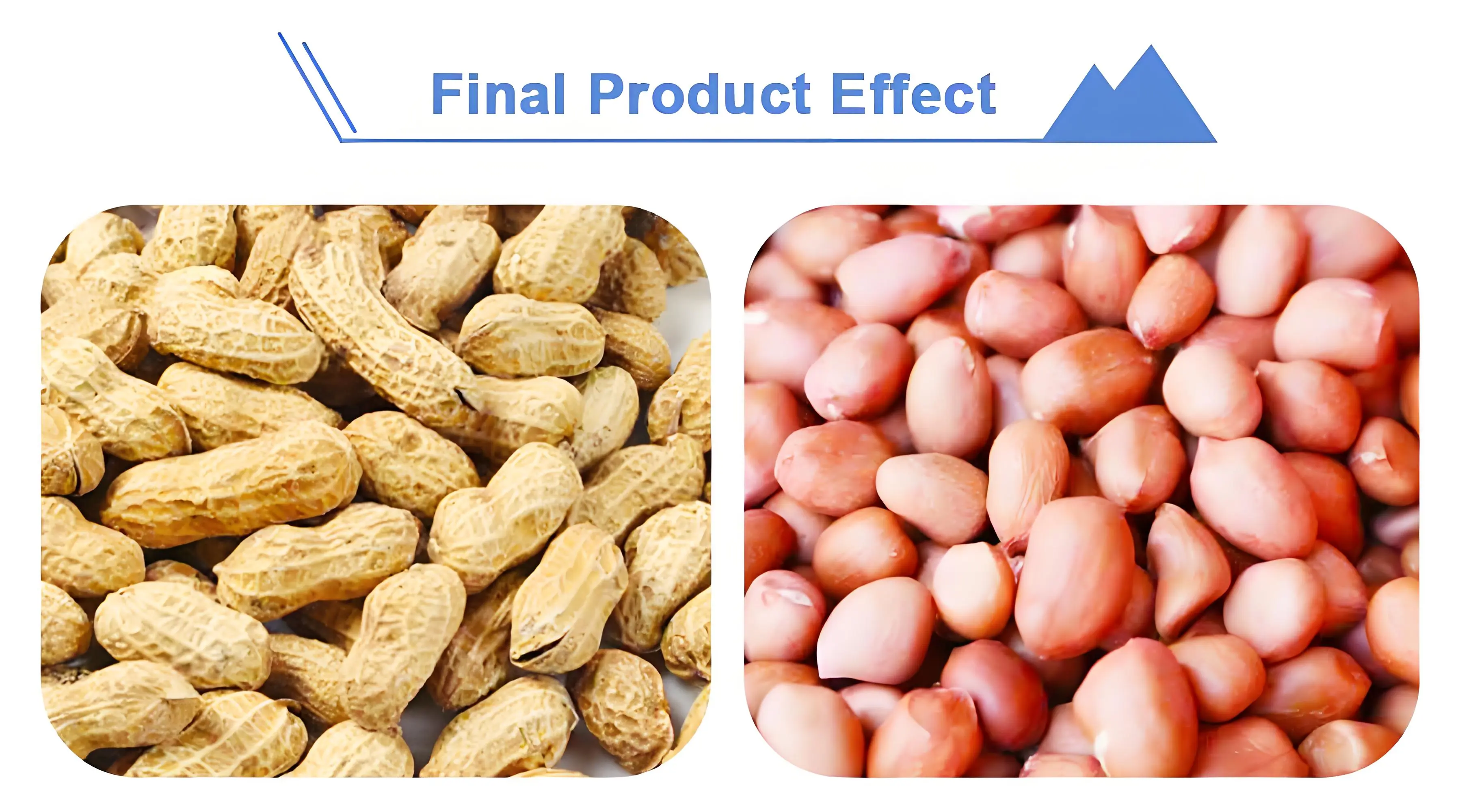 Máquina descascaradora de maní de acero inoxidable-Maquinaria de alimentos  Weifang Sun, image size:3600x2000