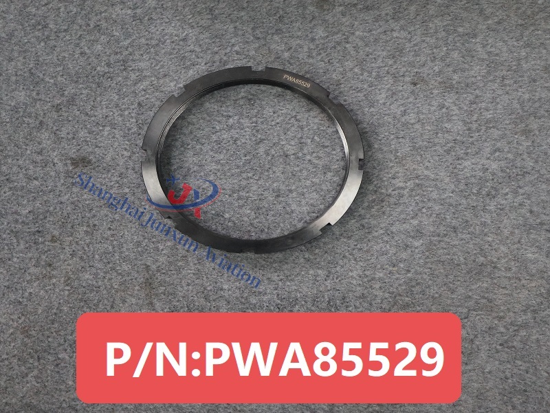 PWA85529 (1) - edición marca de agua.