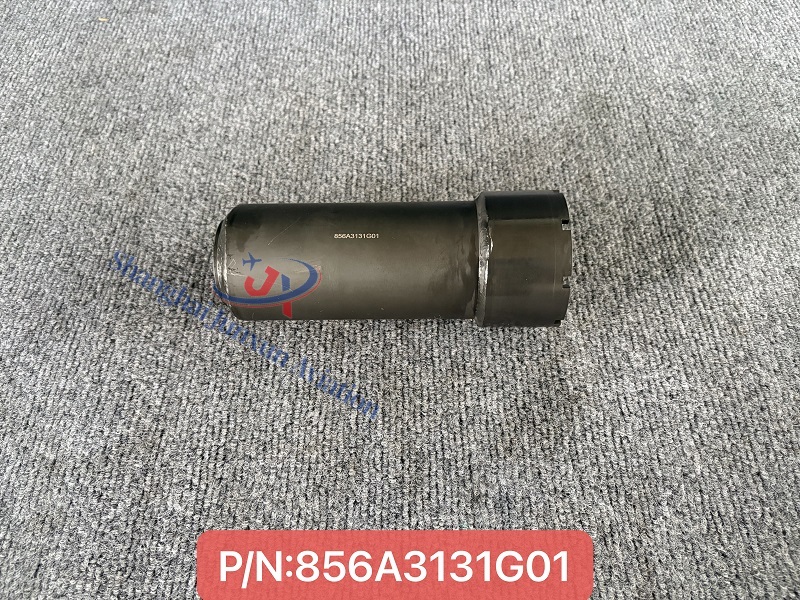 856A3131G01 (1) - Versión de marca de agua.