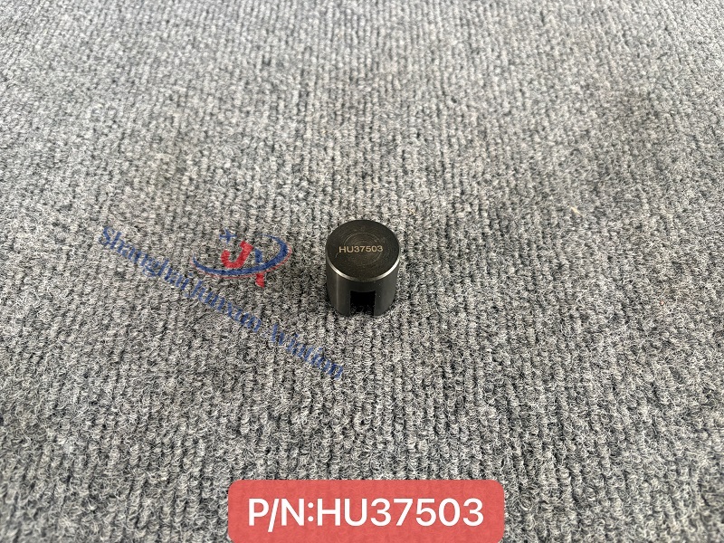 HU37503 (1) - Versión de marca de agua.jpg