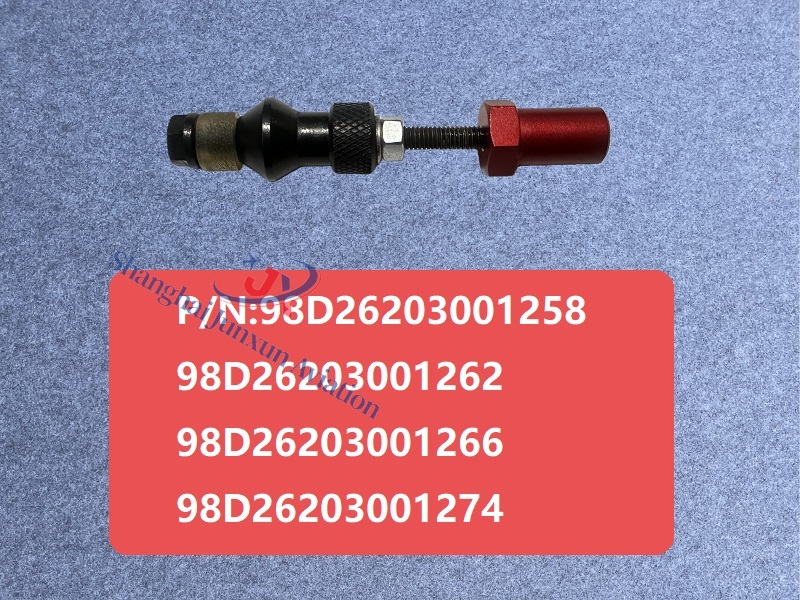 98D26203001258-98D26203001262-98D26203001266-98D26203001274 Figura 1 - Versión de marca de agua.