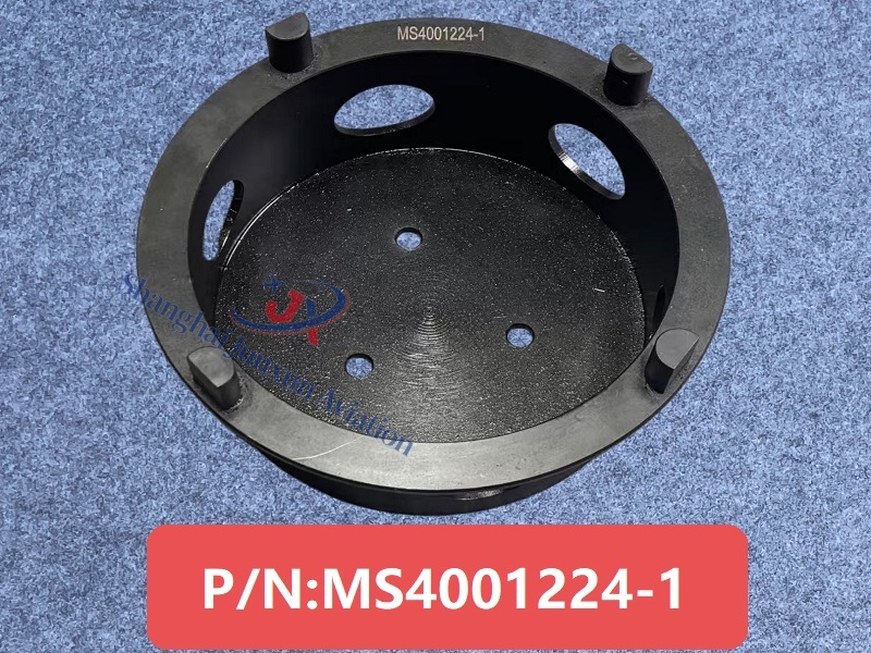 MS4001224-1 Figura 1-Versión de marca de agua.jpg