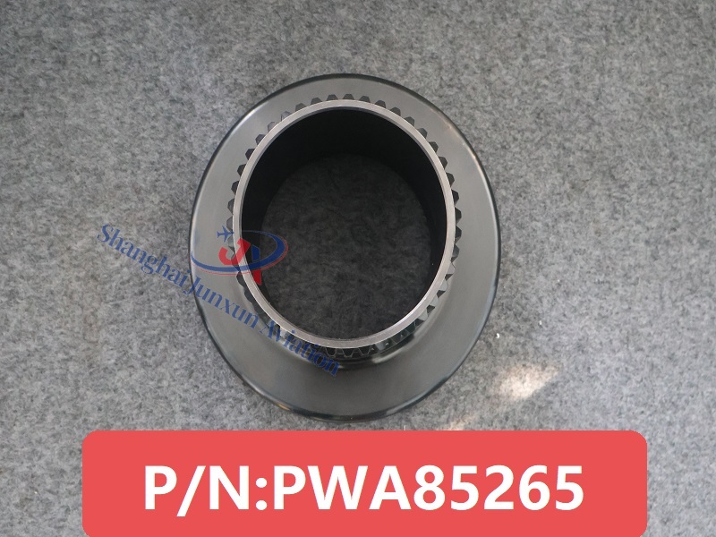 PWA85265 (1) - versión de marca de agua.
