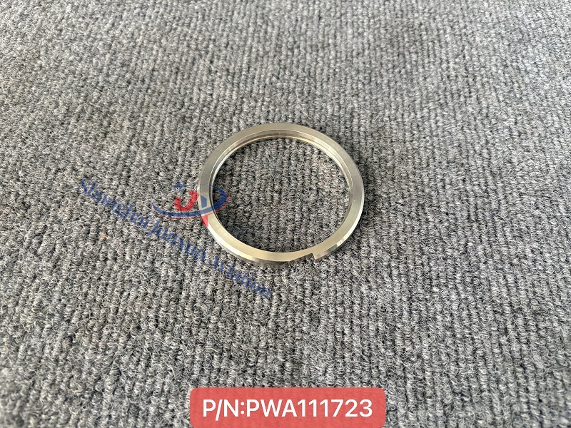 PWA111723 (1) - edición marca de agua.