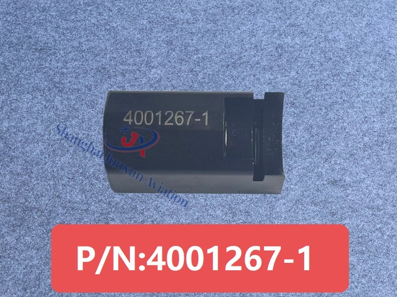 4001267-1 Figura 1-Versión de marca de agua.