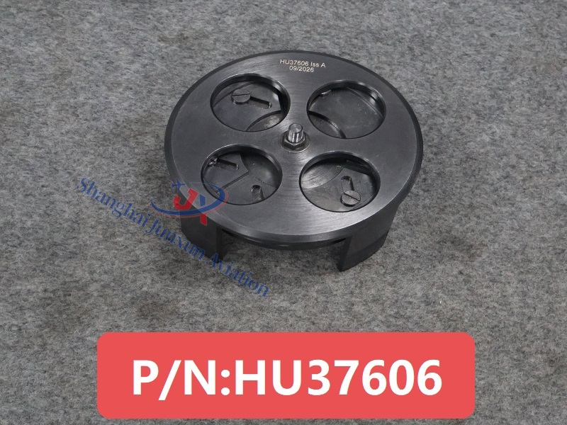 HU37606 (1) - watermarked.jpg