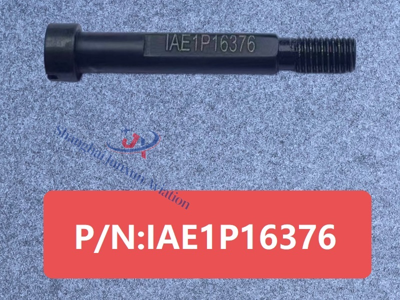 IAE1P16376 Figura 1-Versión de marca de agua.jpg