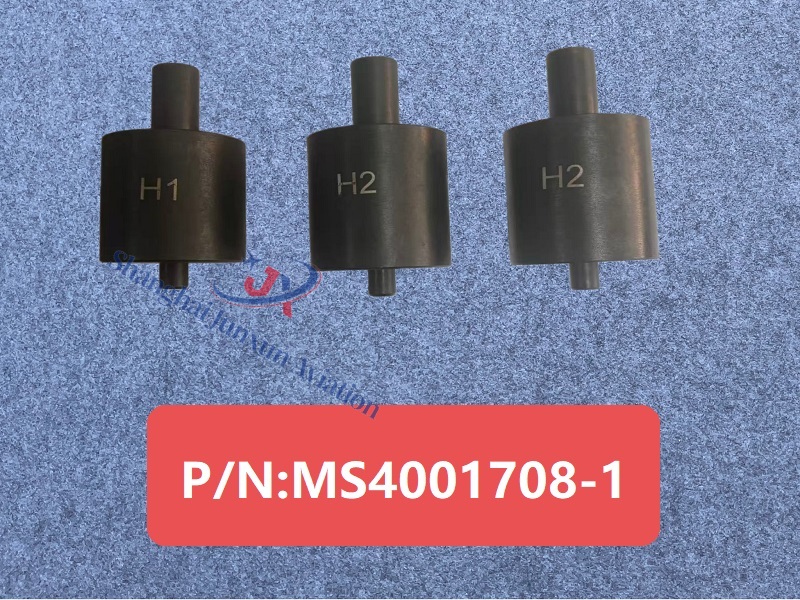 MS4001708-1 Figura 1-Versión con marca de agua.jpg