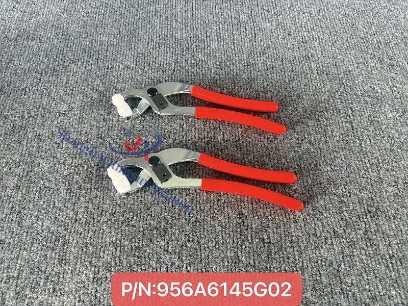 956A6145G02 (1) - Versión de marca de agua.