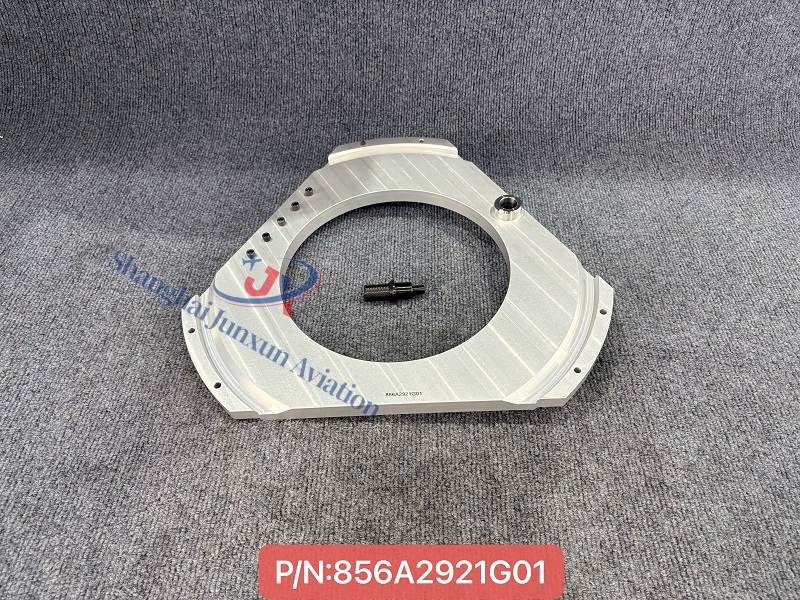 856A2921G01 (1) - Versión de marca de agua.jpg