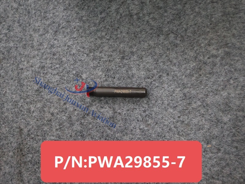 PWA29855-7 (1) - edición de marca de agua.