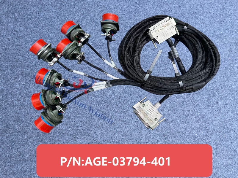 EDAD-03794-401 Figura 1-Versión de marca de agua.jpg