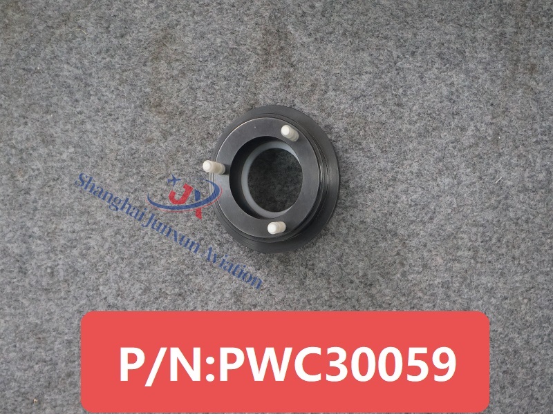 PWC30059 (1) - versión de marca de agua.