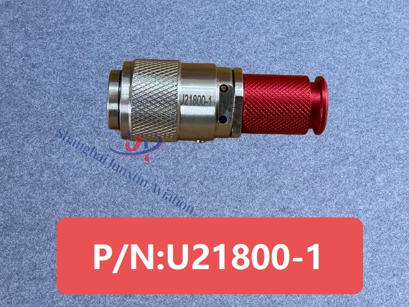U21800-1 Figura 1-Versión con marca de agua.jpg