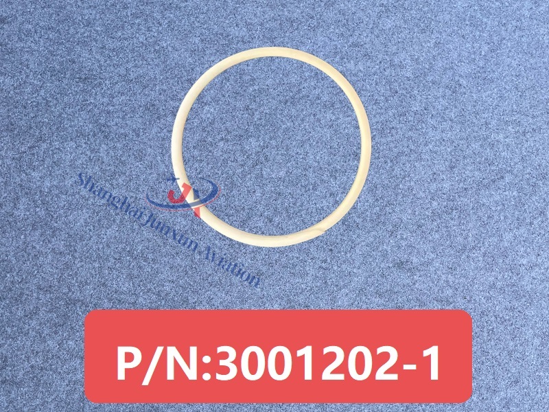 3001202-1 Figura 1-Versión de marca de agua.