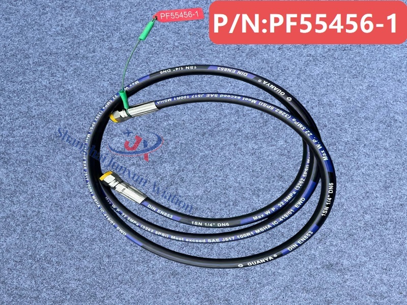 PF55456-1图1-水印版.jpg