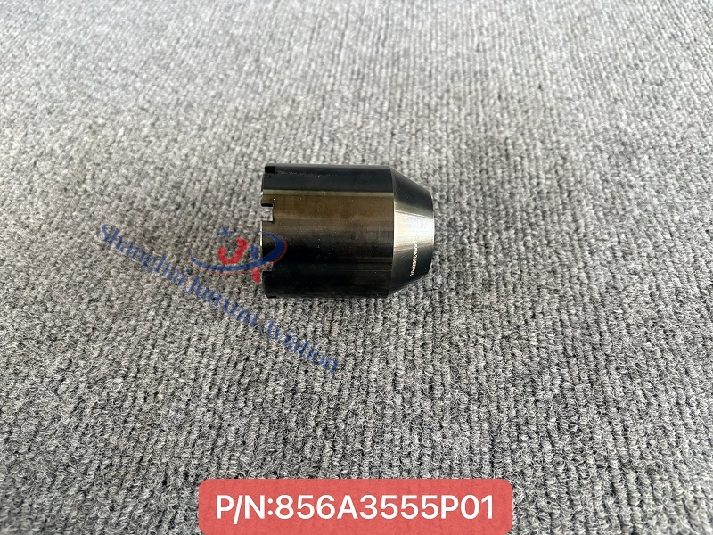 856A3555P01 (1) - Versión de marca de agua.jpg