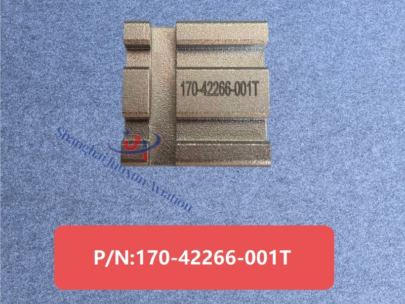 170-42266-001T Figura 1-Versión de marca de agua.