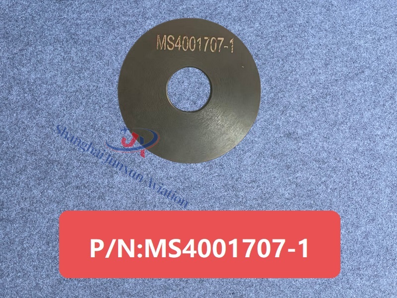 MS4001707-1 Figura 1-Versión con marca de agua.jpg