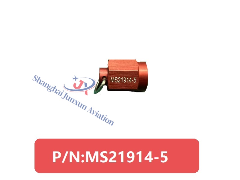 MS21914-5 (2)-水印版.jpg