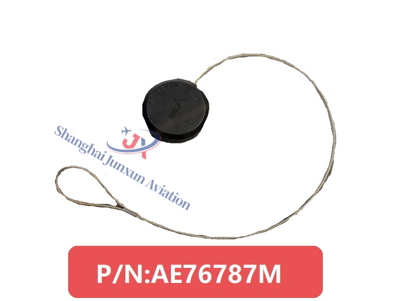 Versión de marca de agua AE76787M.