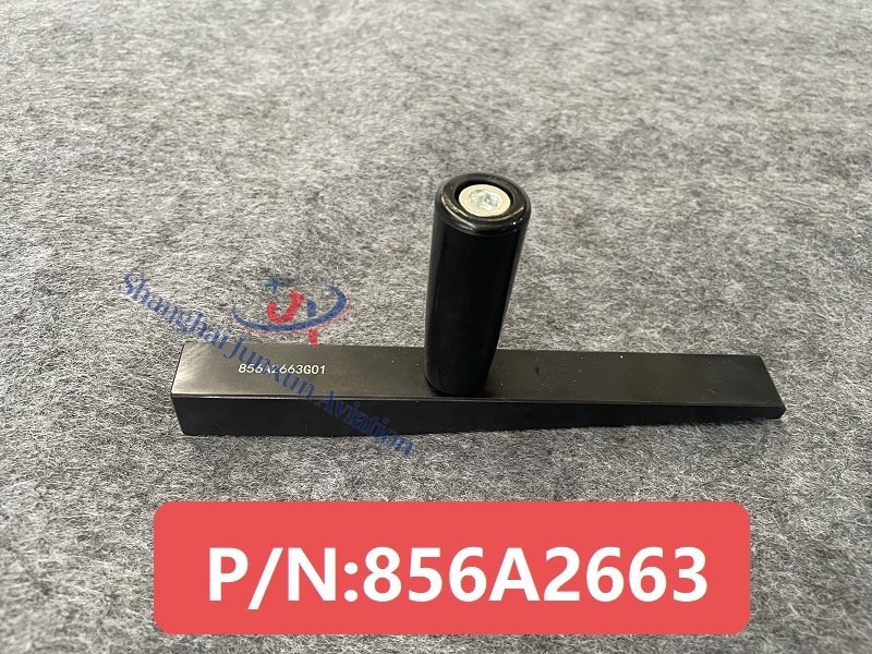 856A2663 (7) - Watermarked.jpg