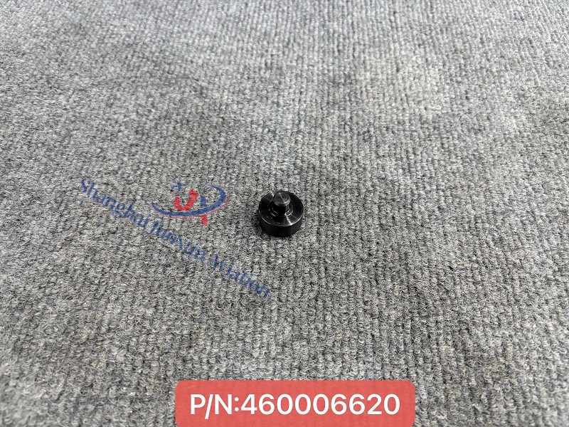 460006620 (1) - Versión de marca de agua.jpg