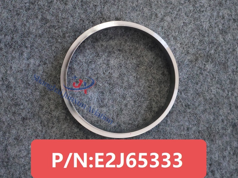 E2J65333 (1) - versión con marca de agua.
