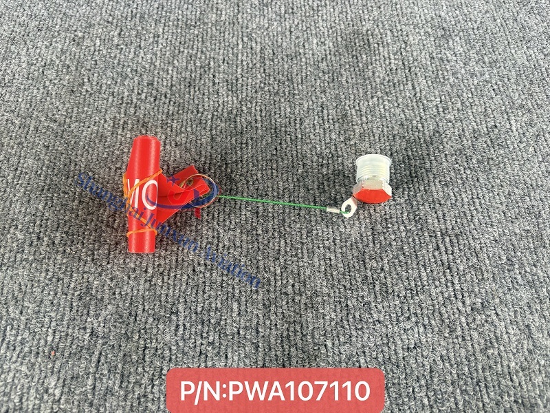 PWA107110 (1) - edición marca de agua.