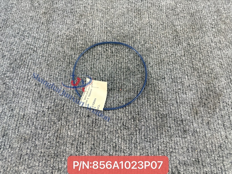 856A1023P07 (1) - Versión de marca de agua.jpg