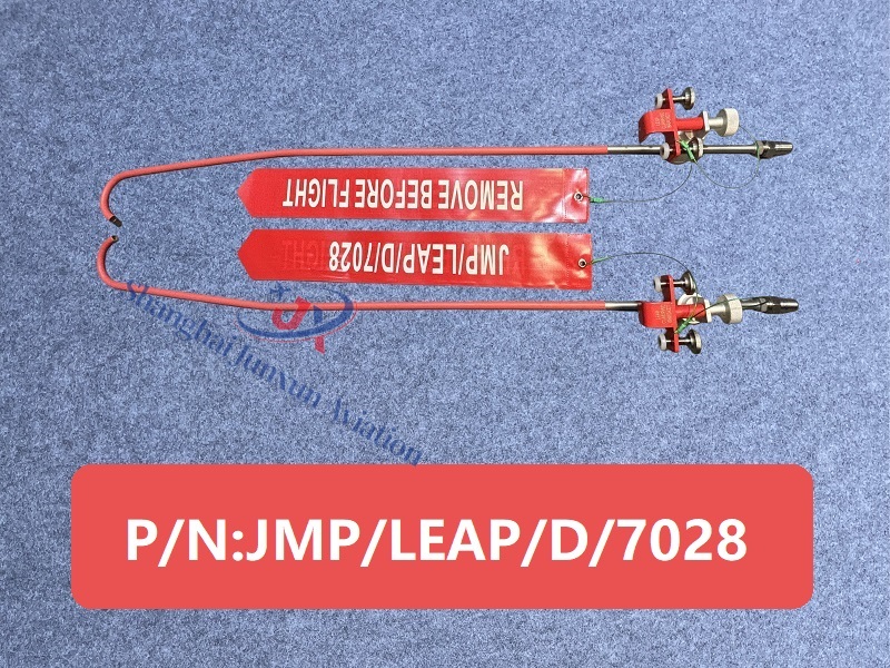 JMPLEAPD7028 Figura 1-Versión de marca de agua.jpg