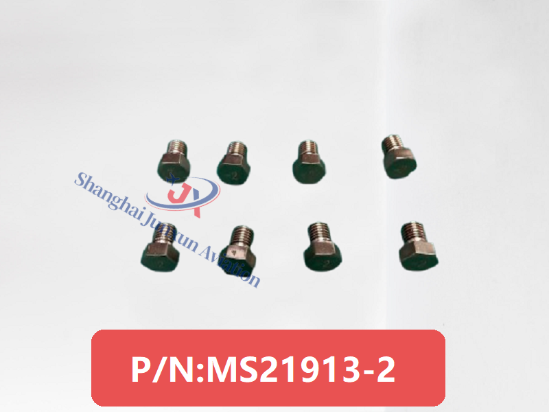 MS21913-2 (3)-水印版.png