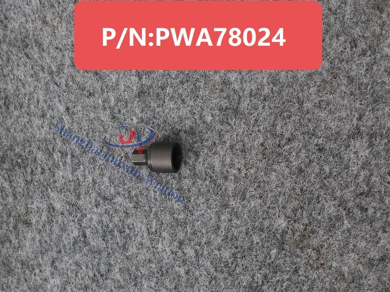 PWA78024 (1) - edición marca de agua.