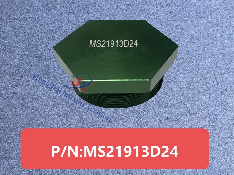 MS21913D24图1-水印版.jpg